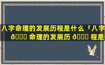 八字命理的发展历程是什么「八字 🐋 命理的发展历 🐛 程是什么意思」